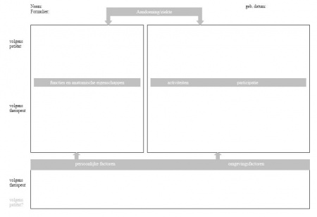 Rehabilitation Problem Solving Formulier - FysioPedia